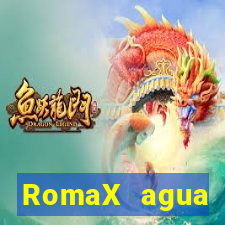 RomaX agua sanitaria fispq agua sanitaria romax